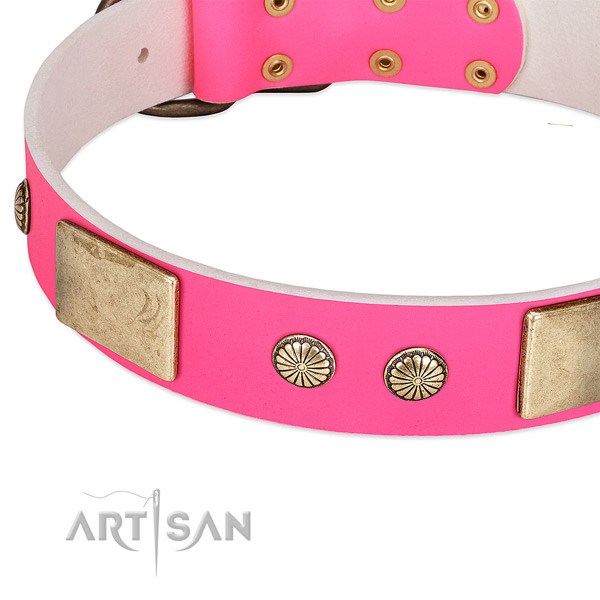 Corrosion resispinkt embellishments on leather dog collar for your canine