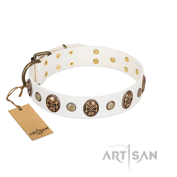 Exceptional full grain leather dog collar for everyday walking