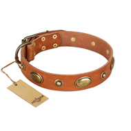 "Visual Magic" FDT Artisan Tan Leather Doberman Collar for Daily Activities