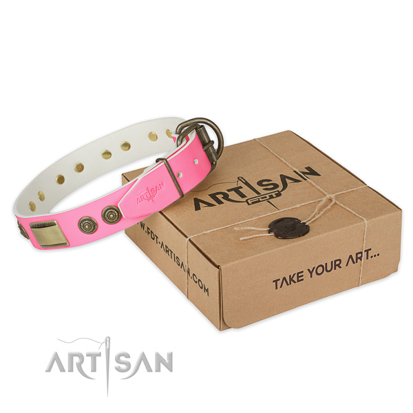 Durable traditional buckle on dog collar for walking