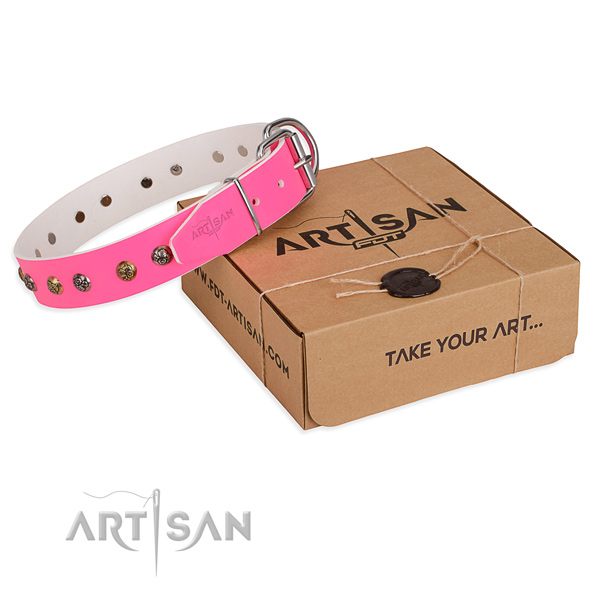 Stylish walking dog collar with Impressive reliable decorations
