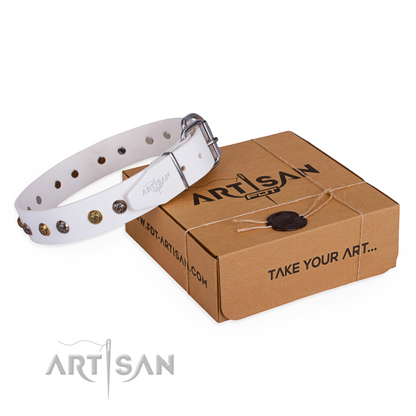 Stylish walking dog collar with Amazing corrosion resistant studs