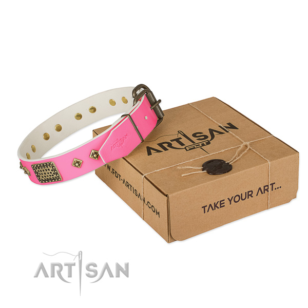 Rust-proof traditional buckle on dog collar for comfy wearing