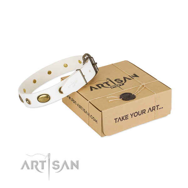 Fine quality leather collar for your attractive four-legged friend