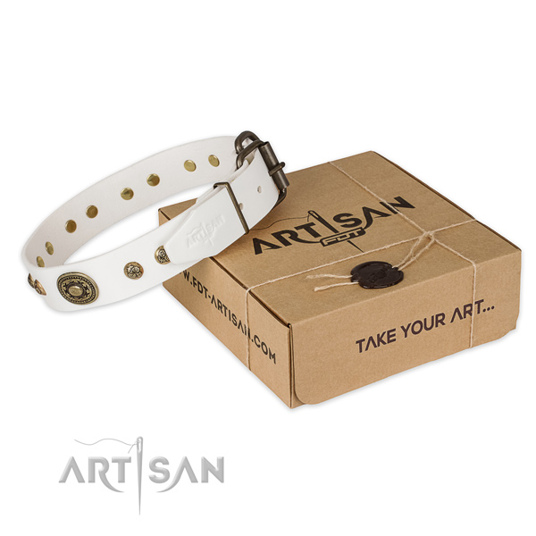 Reliable fittings on leather dog collar for comfy wearing