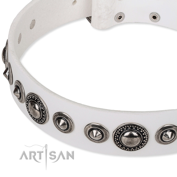 Daily use studded dog collar of durable full grain genuine leather