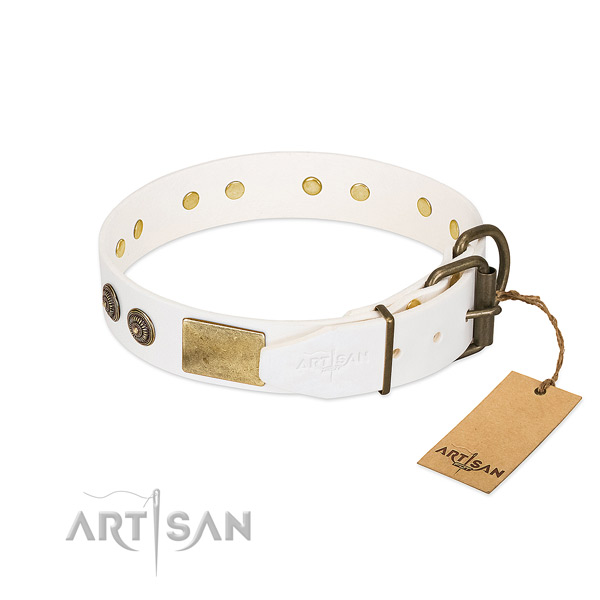 Corrosion resistant hardware on full grain natural leather collar for basic training your canine
