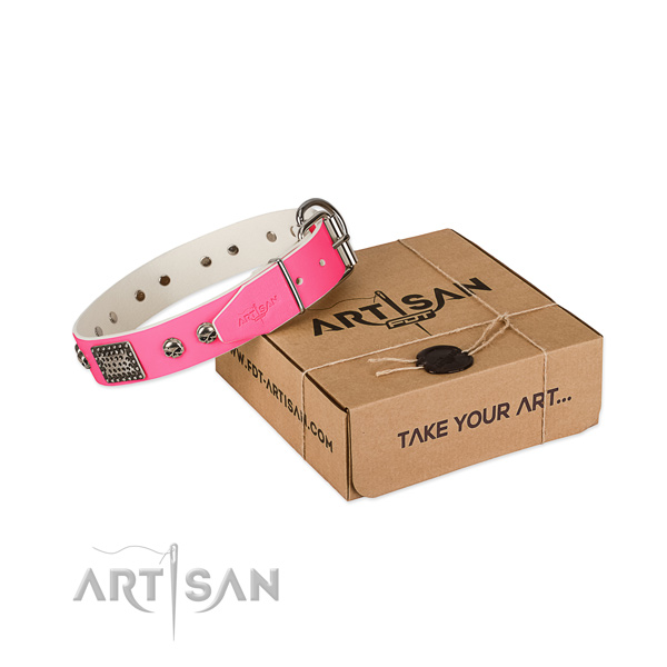 Rust-proof hardware on dog collar for basic training