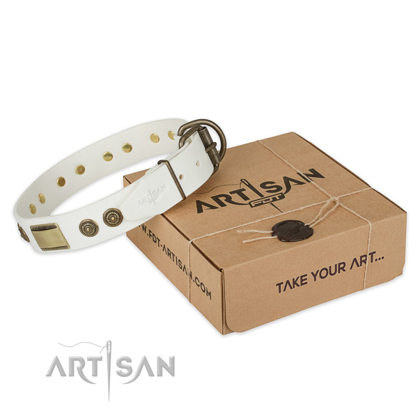 Durable fittings on full grain genuine leather dog collar for daily walking