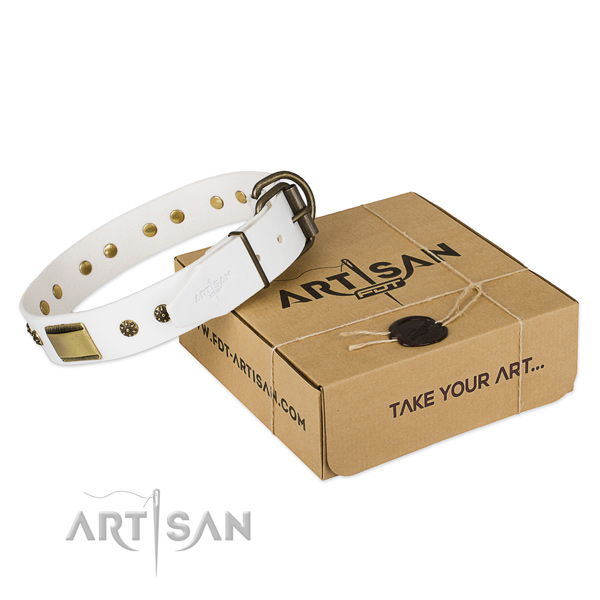 Amazing genuine leather collar for your beautiful pet