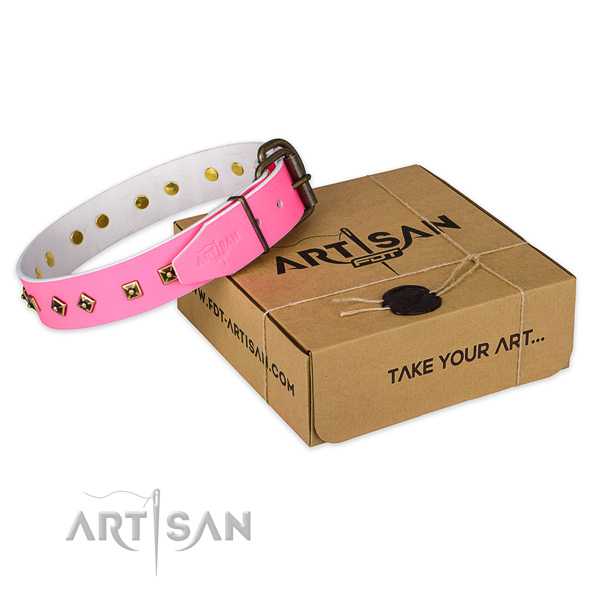 Durable traditional buckle on full grain leather dog collar for daily use