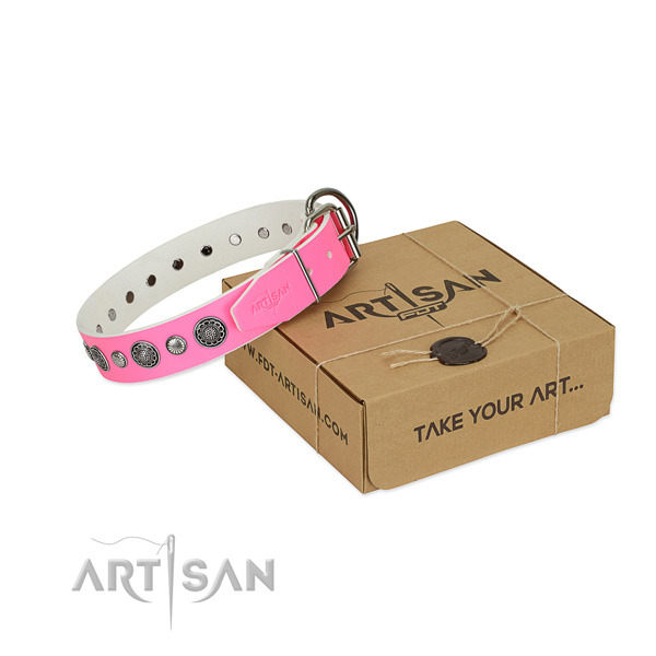 Genuine leather collar with rust-proof hardware for your stylish four-legged friend