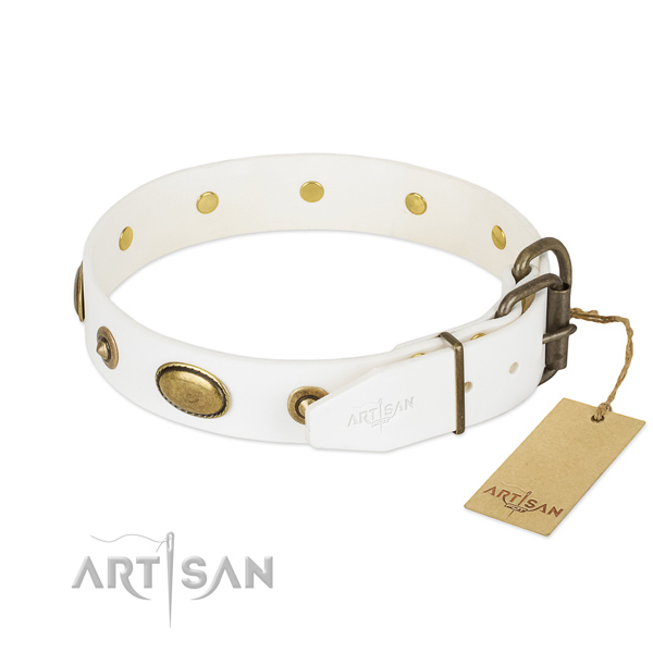 Durable embellishments on leather dog collar for your four-legged friend