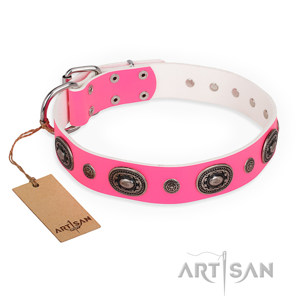 Strong full grain leather dog collar handcrafted for walking