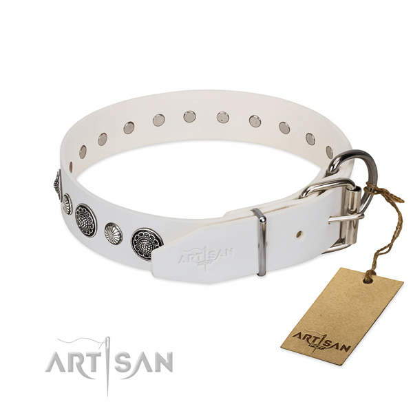Quality leather dog collar with corrosion resistant buckle