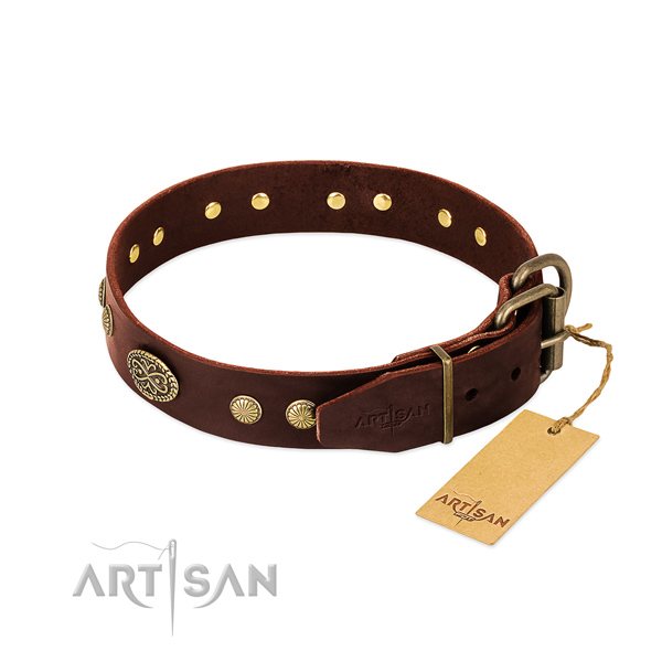 Rust resistant embellishments on leather dog collar for your four-legged friend