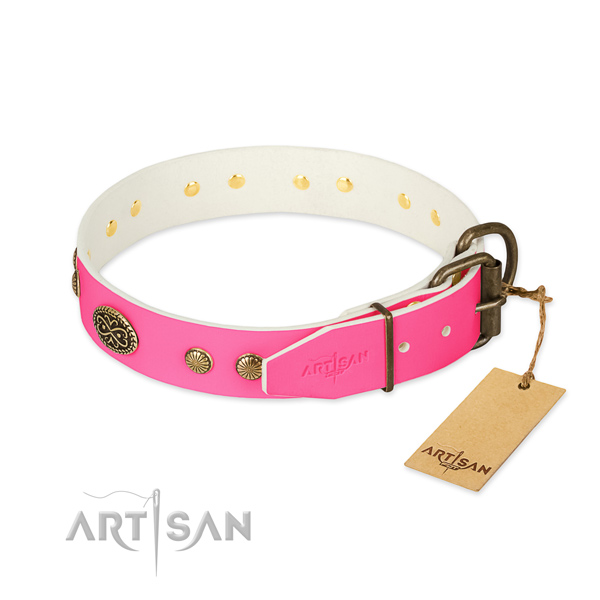 Corrosion resistant decorations on full grain natural leather dog collar for your canine
