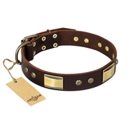 "Rich Fashion" FDT Artisan Decorated Leather Doberman Collar with Plates and Studs