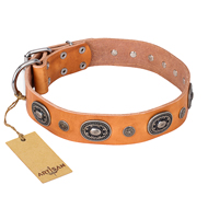 "Twinkle Twinkle" FDT Artisan Incredible Studded Tan Leather Doberman Collar