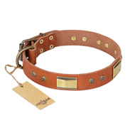 "Enchanting Spectacle" FDT Artisan Tan Leather Doberman Collar with Old Bronze Look Plates and Round Studs