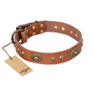 "Stunning Dress" FDT Artisan Tan Leather Doberman Collar with Old Bronze Look Plates and Studs