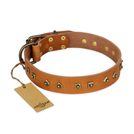 "Autumn Story" FDT Artisan Leather Doberman Collar with Old Bronze Look Studs