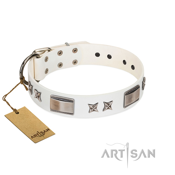 Trendy dog collar of full grain genuine leather