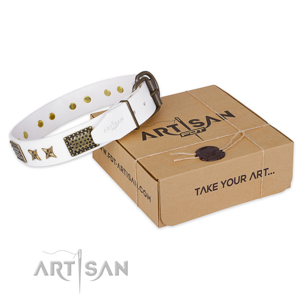 Durable traditional buckle on leather collar for your beautiful pet