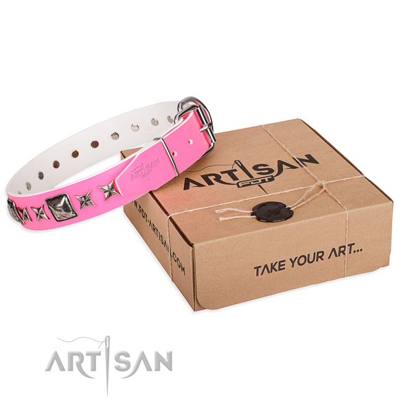 Stylish walking full grain leather dog collar with adornments