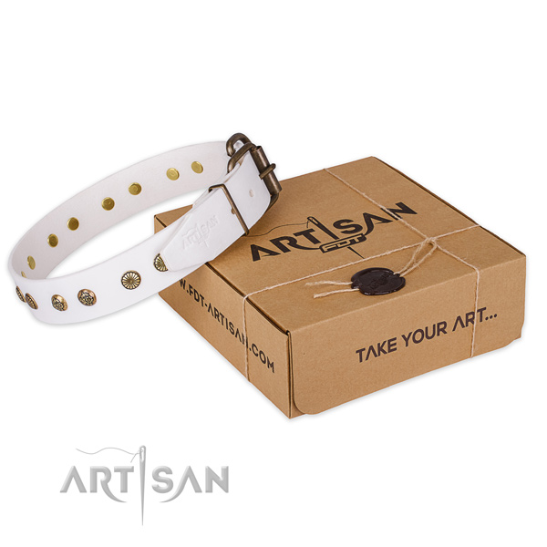 Corrosion resistant traditional buckle on natural genuine leather collar for your handsome four-legged friend