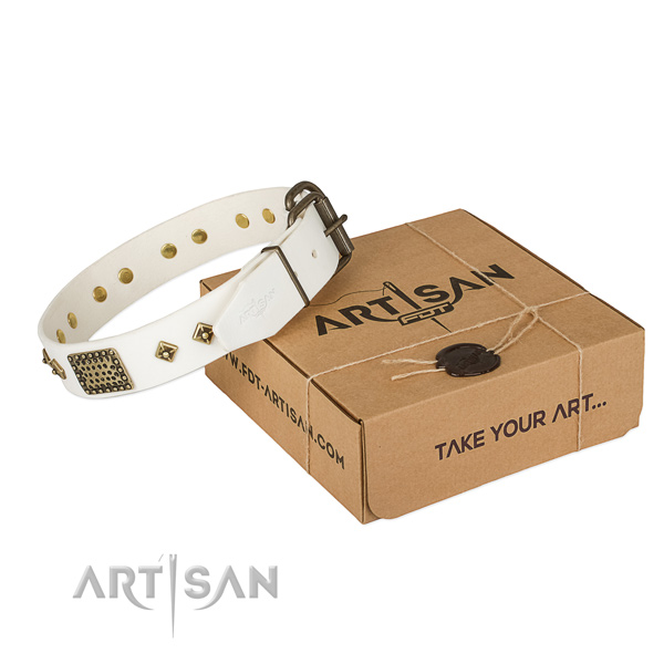Studded leather collar for your handsome dog