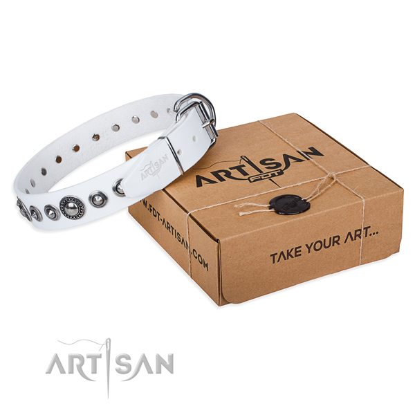Leather dog collar made of top notch material with strong traditional buckle