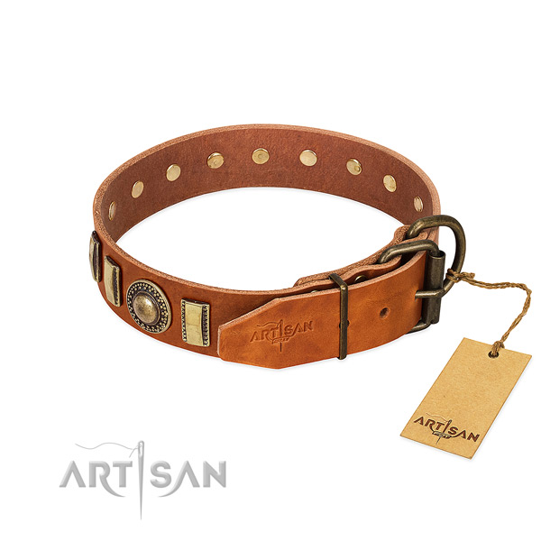 Fine quality leather dog collar with corrosion resistant hardware
