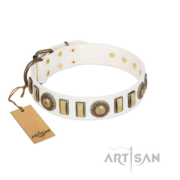 Trendy leather dog collar with rust-proof fittings