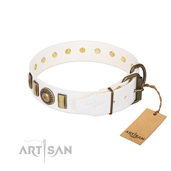 Fashionable full grain leather dog collar with strong hardware