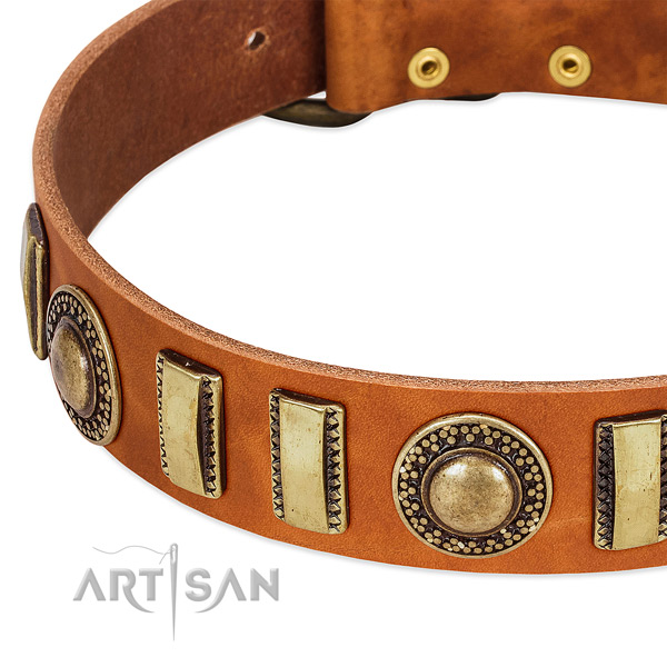 Durable full grain leather dog collar with rust resistant buckle