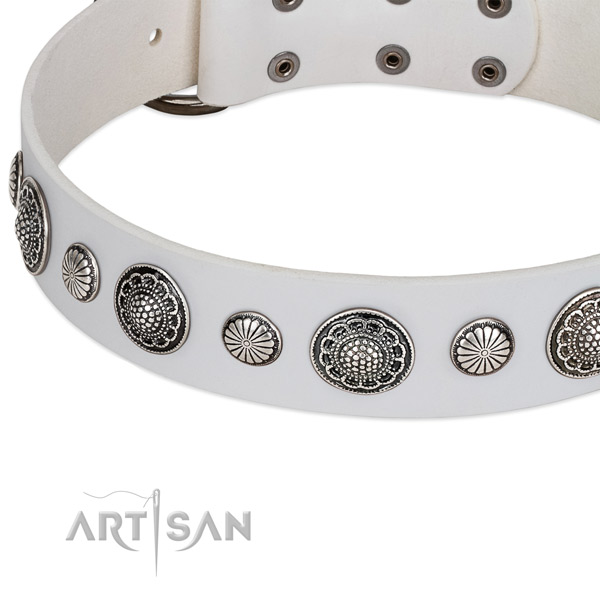 Full grain leather collar with corrosion proof buckle for your stylish dog