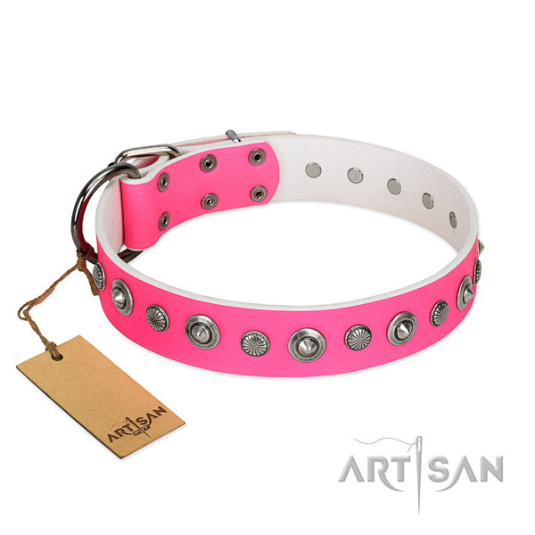 Durable full grain genuine leather dog collar with awesome adornments