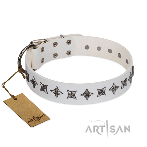 Comfy wearing dog collar of reliable full grain leather with decorations