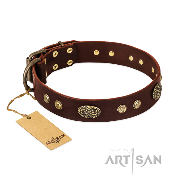Corrosion proof traditional buckle on leather dog collar for your four-legged friend