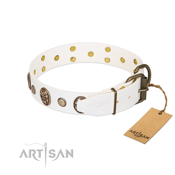 Corrosion proof fittings on full grain genuine leather collar for basic training your doggie