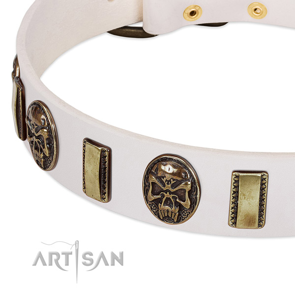 Reliable buckle on leather dog collar for your dog