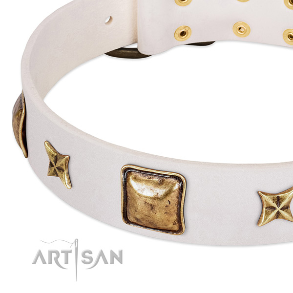 Strong traditional buckle on genuine leather dog collar for your dog