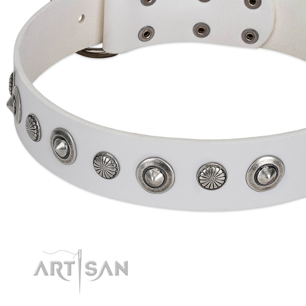 Full grain genuine leather collar with reliable traditional buckle for your handsome canine