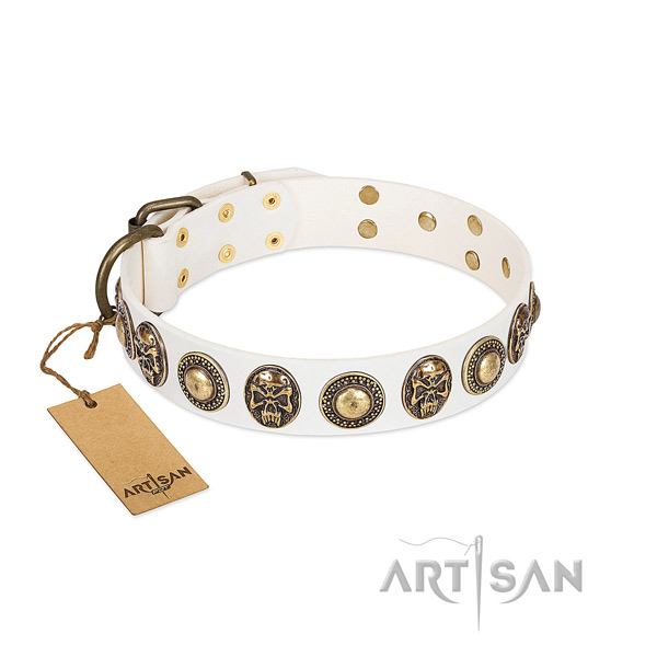 Easy wearing full grain genuine leather dog collar for daily walking your four-legged friend