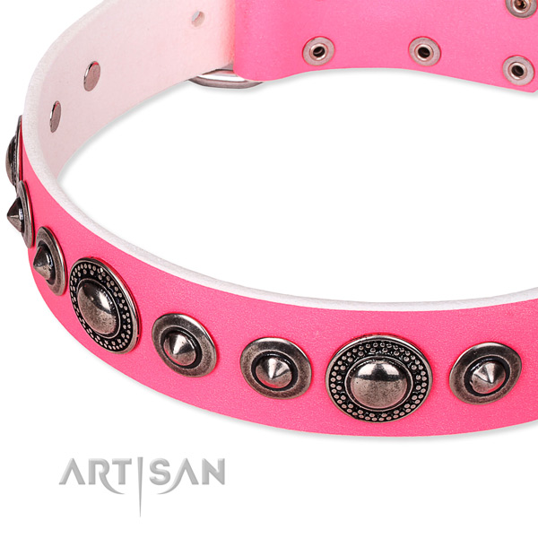 Stylish walking decorated dog collar of top notch full grain genuine leather