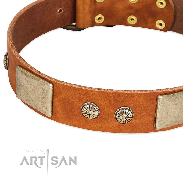 Rust-proof decorations on full grain leather dog collar for your canine