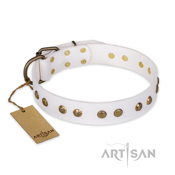 Easy wearing leather dog collar with corrosion proof fittings