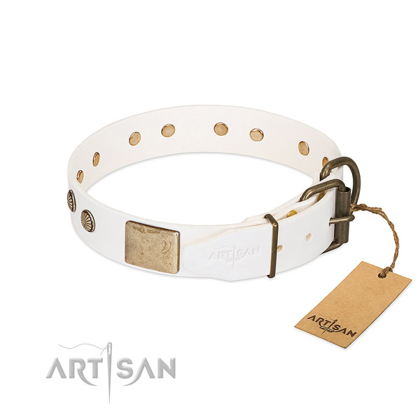Rust resistant buckle on daily use dog collar