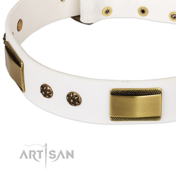 Rust resistant adornments on full grain genuine leather dog collar for your four-legged friend